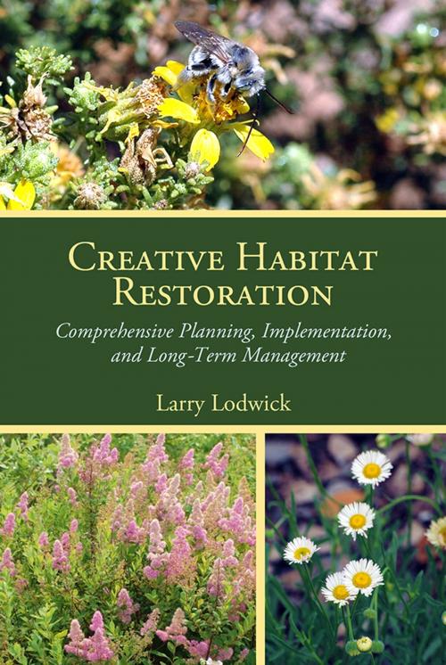 Cover of the book Creative Habitat Restoration by Larry Lodwick, Lehigh University Press