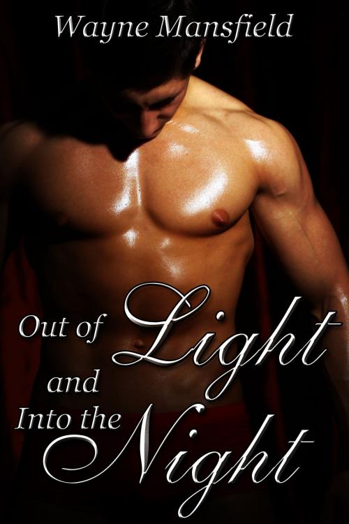 Cover of the book Out of Light and Into the Night by Wayne Mansfield, JMS Books LLC