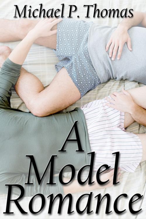 Cover of the book A Model Romance by Michael P. Thomas, JMS Books LLC