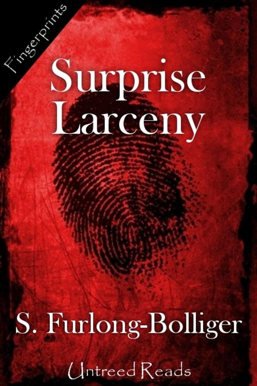 Cover of the book Surprise Larceny by S. Furlong-Bolliger, Untreed Reads