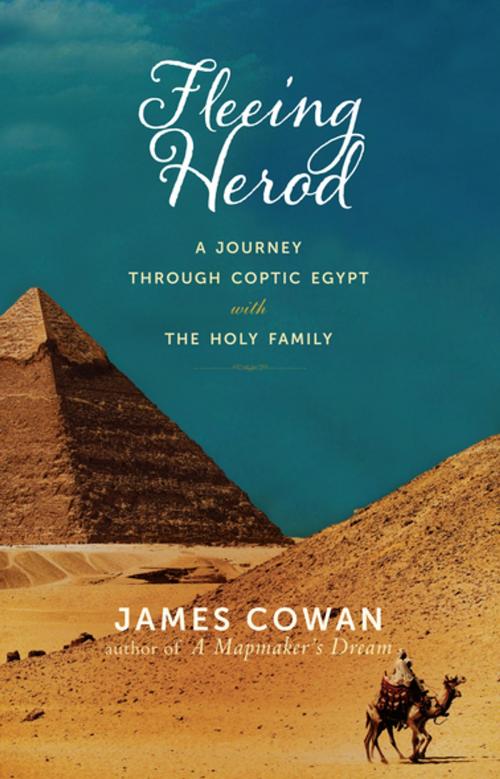 Cover of the book Fleeing Herod by James Cowan, Paraclete Press