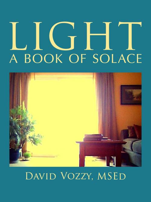 Cover of the book Light by David Vozzy, The Troy Book Makers