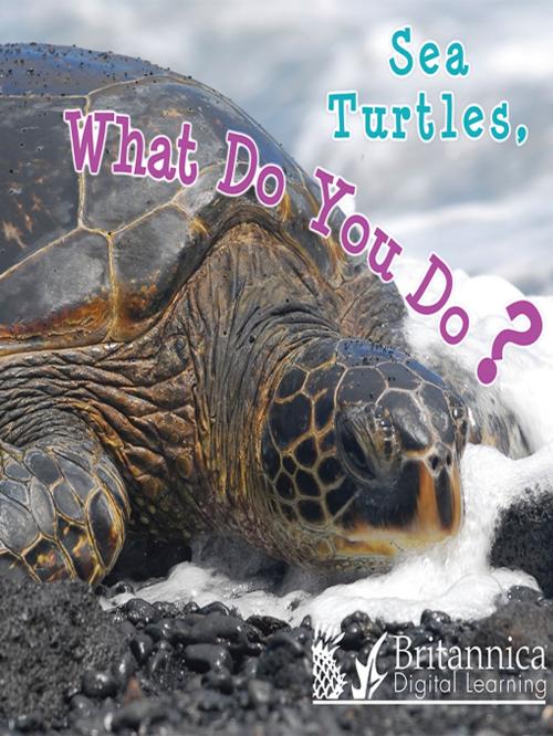 Cover of the book Sea Turtles, What Do You Do? by Holly Karapetkova, Britannica Digital Learning