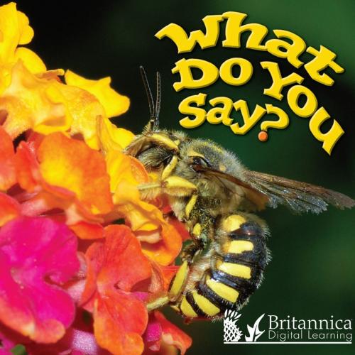 Cover of the book What Do You Say? by Holly Karapetkova and J. Jean Robertson, Britannica Digital Learning