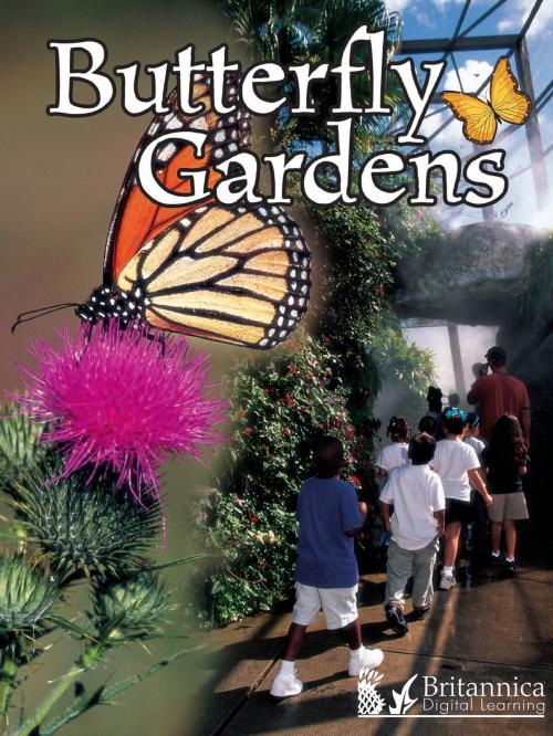Cover of the book Butterfly Gardens by Jennifer Gillis, Britannica Digital Learning