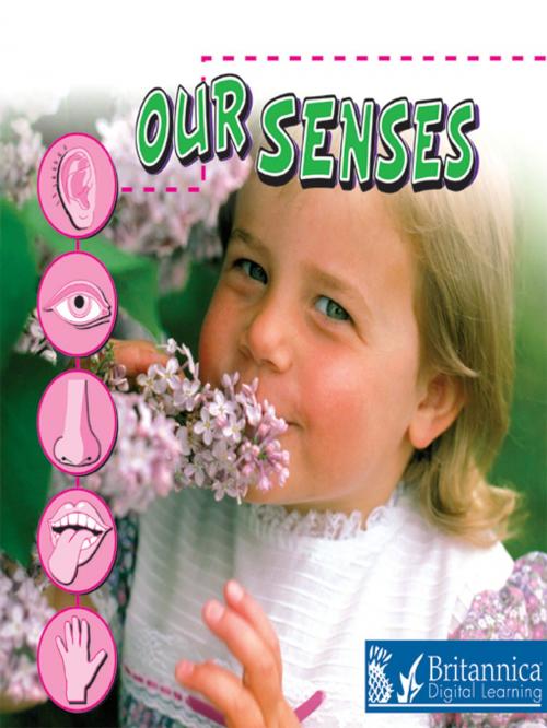 Cover of the book Our Senses by Susan Thames, Britannica Digital Learning