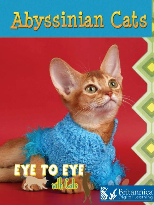 Cover of the book Abyssinian Cats by Lynn Stone, Britannica Digital Learning