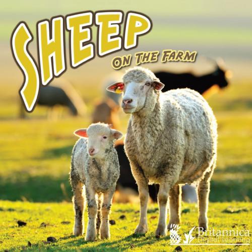 Cover of the book Sheep on the Farm by Joanne Mattern, Britannica Digital Learning