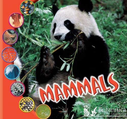 Cover of the book Mammals by Ted O'Hare, Britannica Digital Learning