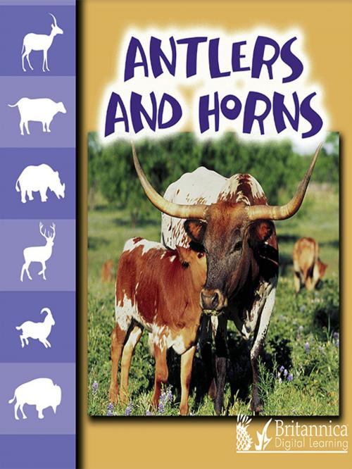 Cover of the book Antlers and Horns by Jason Cooper, Britannica Digital Learning
