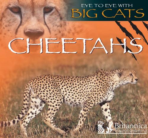 Cover of the book Cheetahs by Jason Cooper, Britannica Digital Learning