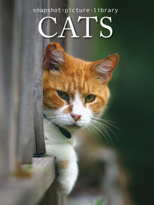 Cover of the book Cats by Snapshot Picture Library, Weldon Owen