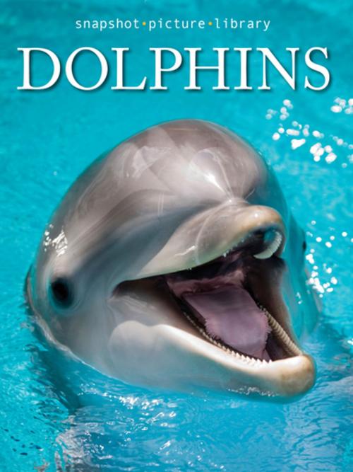 Cover of the book Dolphins by Snapshot Picture Library, Weldon Owen
