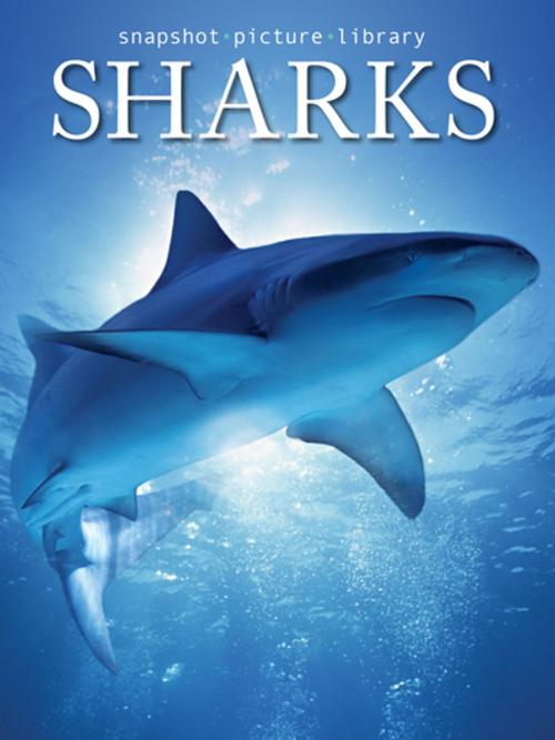 Cover of the book Sharks by Snapshot Picture Library, Weldon Owen