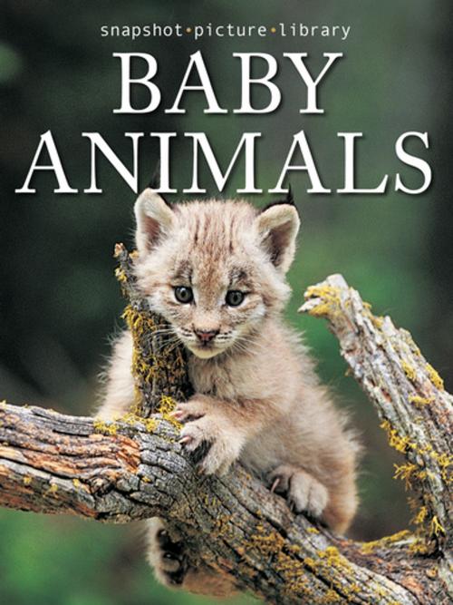 Cover of the book Baby Animals by Snapshot Picture Library, Weldon Owen