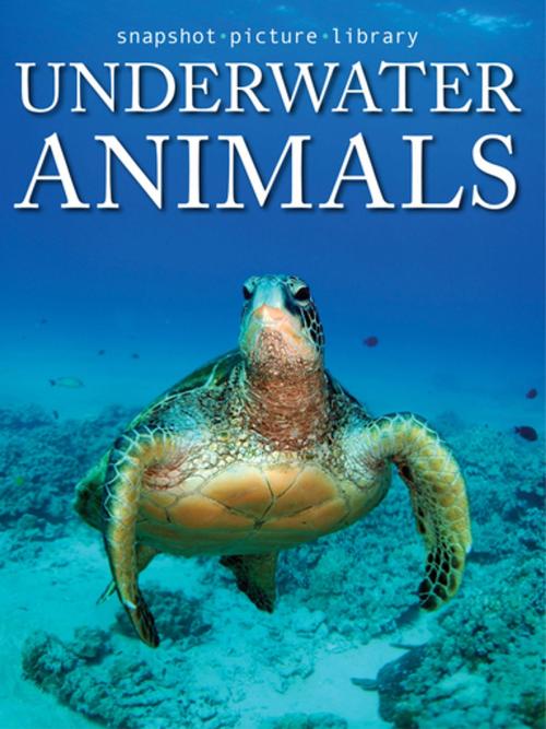 Cover of the book Underwater Animals by Snapshot Picture Library, Weldon Owen