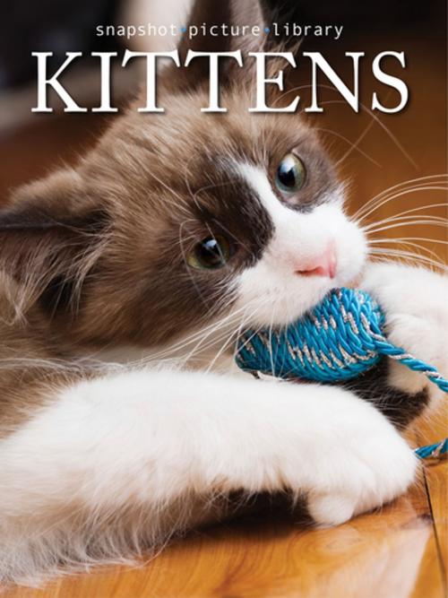Cover of the book Kittens by Snapshot Picture Library, Weldon Owen