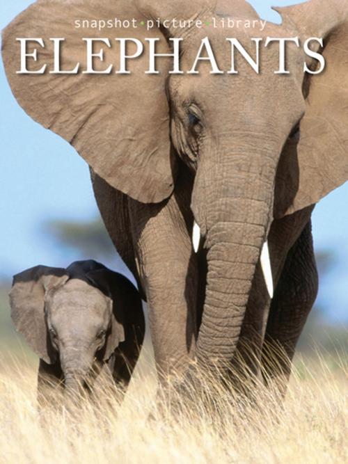 Cover of the book Elephants by Snapshot Picture Library, Weldon Owen