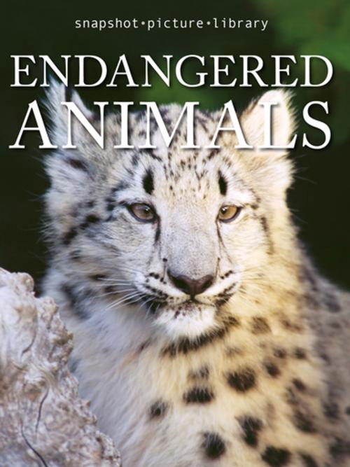 Cover of the book Endangered Animals by Snapshot Picture Library, Weldon Owen