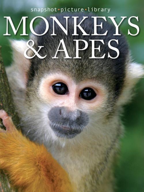 Cover of the book Monkeys & Apes by Snapshot Picture Library, Weldon Owen