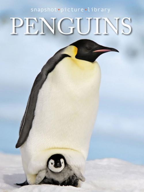 Cover of the book Penguins by Snapshot Picture Library, Weldon Owen