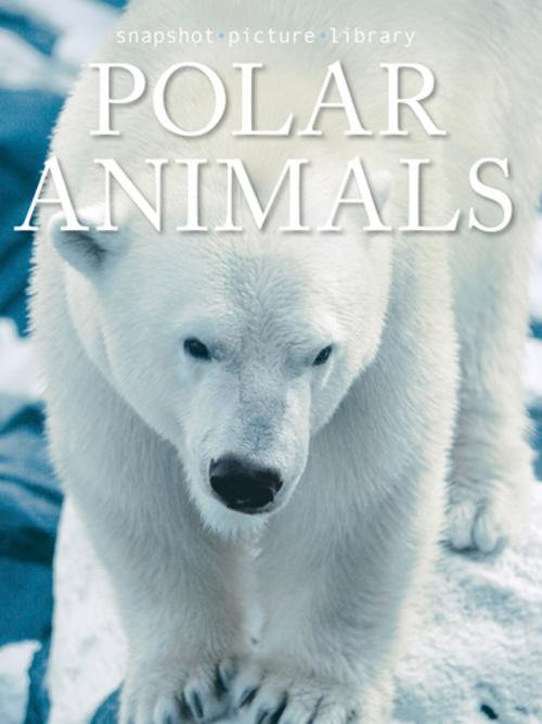 Cover of the book Polar Animals by Snapshot Picture Library, Weldon Owen