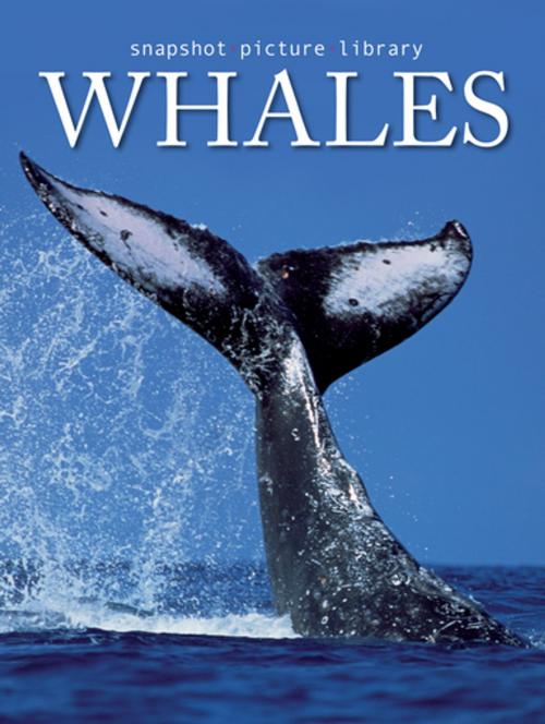 Cover of the book Whales by Snapshot Picture Library, Weldon Owen