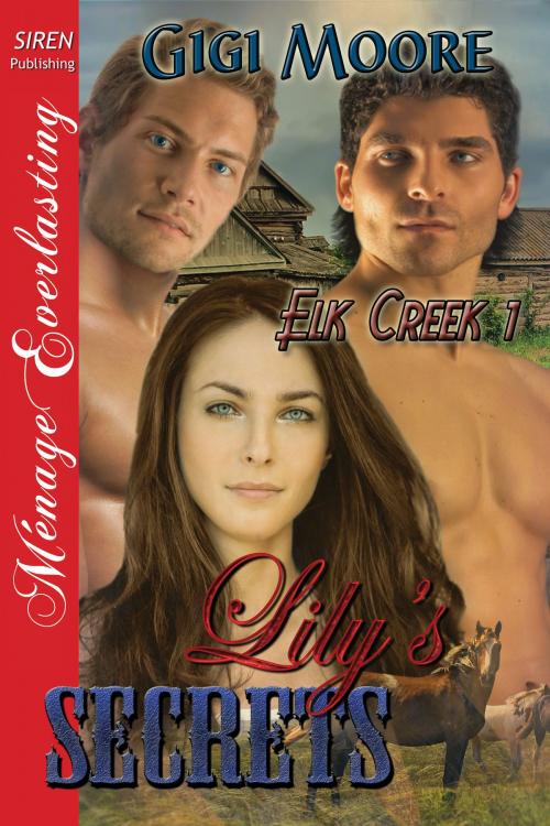 Cover of the book Lily's Secrets by Gigi Moore, Siren-BookStrand
