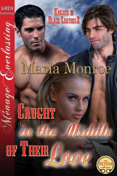 Cover of the book Caught in the Middle of Their Love by Marla Monroe, Siren-BookStrand