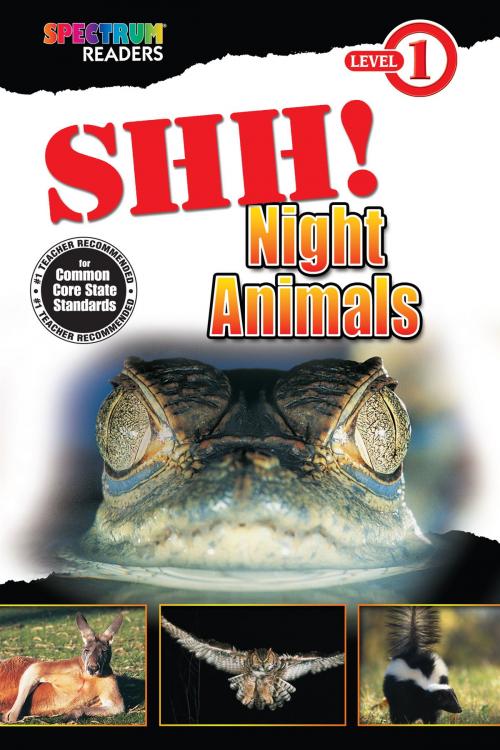 Cover of the book Shh! Night Animals by Katharine Kenah, Carson Dellosa Education