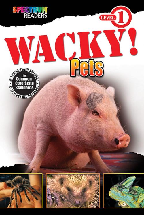 Cover of the book Wacky! Pets by Teresa Domnauer, Carson Dellosa Education