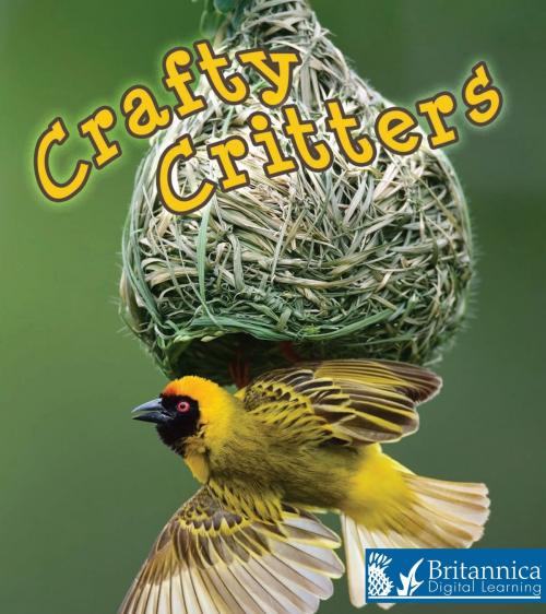 Cover of the book Crafty Critters by David and Patricia Armentrout, Britannica Digital Learning