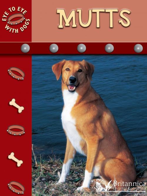 Cover of the book Mutts by Lynn Stone, Britannica Digital Learning