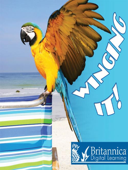 Cover of the book Winging It! by Cindy Rodriguez, Britannica Digital Learning