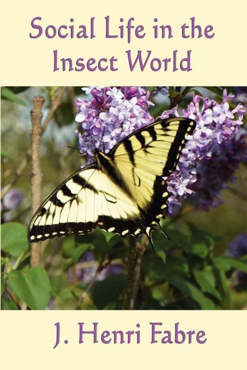 Cover of the book Social Life in the Insect World by Jean Henri Fabre, Start Publishing LLC