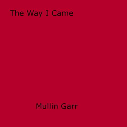 Cover of the book The Way I Came by Mullin Garr, Disruptive Publishing
