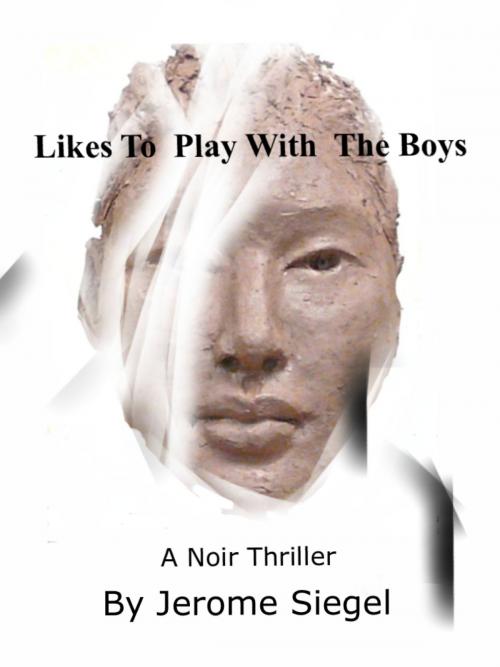 Cover of the book Likes to Play With The Boys by Jerome Siegel, BookBaby