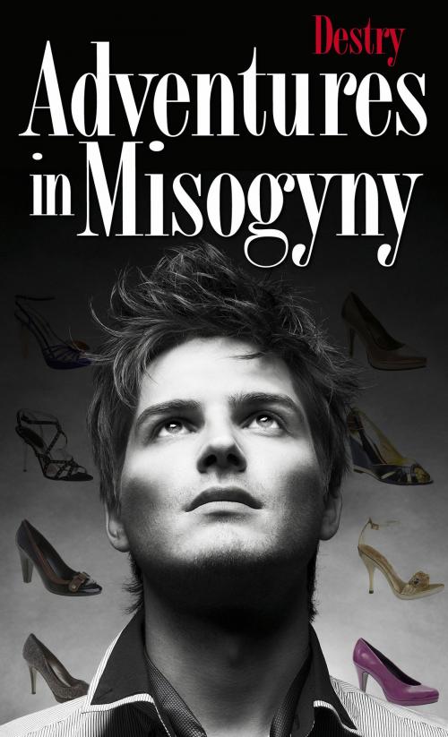 Cover of the book Adventures In Misogyny by Destry, BookBaby