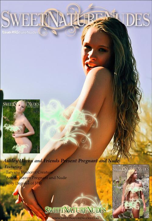 Cover of the book Ashley Haven and Friends Present Pregnant and Nude by David Weisenbarger, DN Media