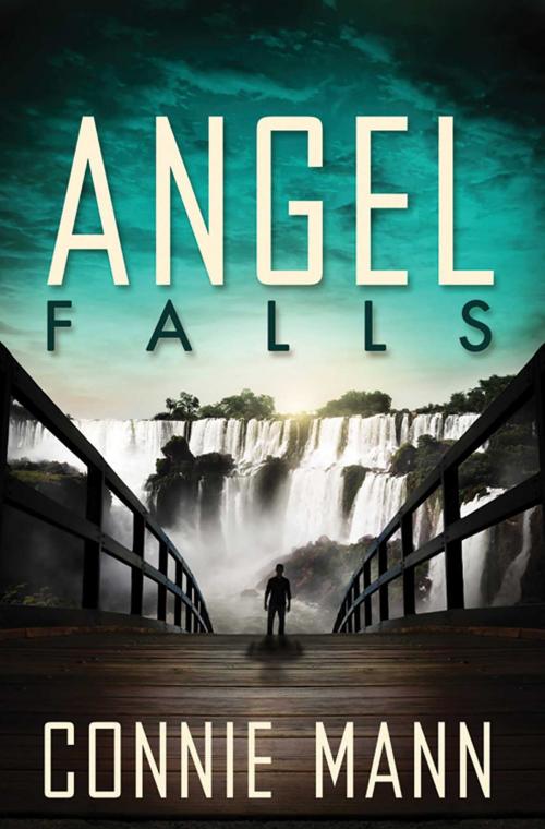 Cover of the book Angel Falls by Connie Mann, Abingdon Fiction
