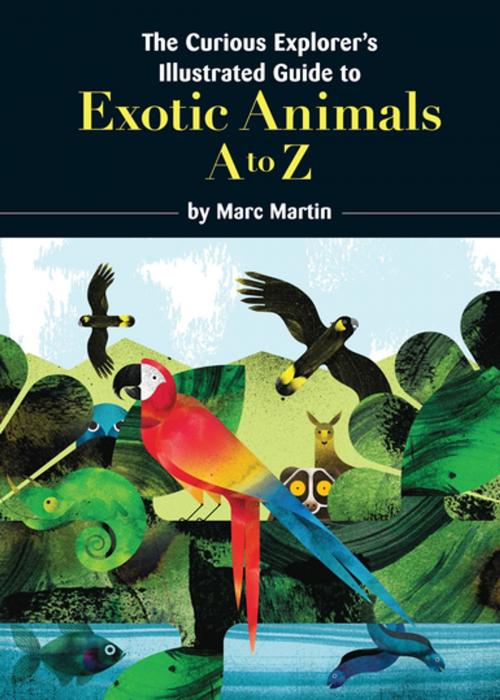 Cover of the book The Curious Explorer's Illustrated Guide to Exotic Animals by Marc Martin, Penguin Random House Australia