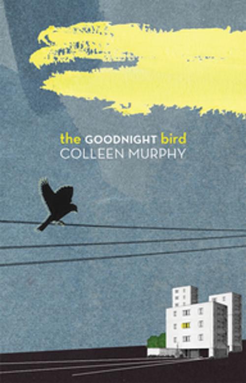Cover of the book The Goodnight Bird by Colleen Murphy, Playwrights Canada Press