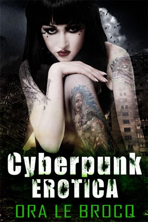 Cover of the book Cyberpunk Erotica by Ora Le Brocq, eXtasy Books Inc