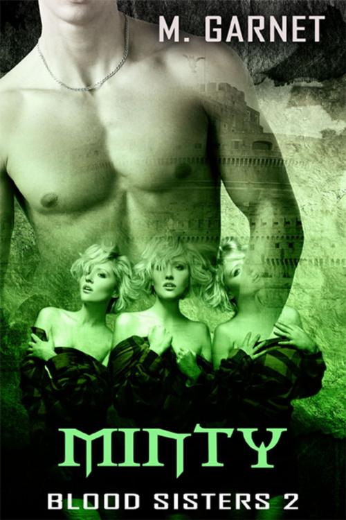 Cover of the book Minty by M. Garnet, eXtasy Books Inc