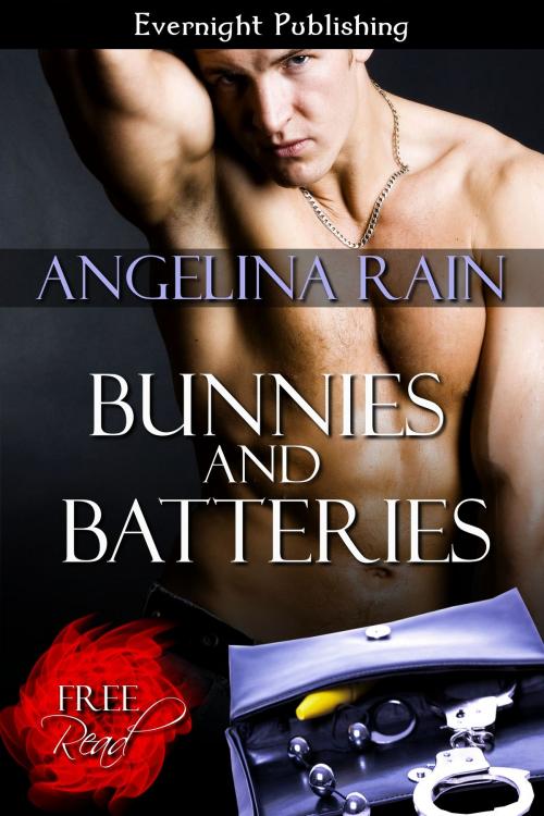 Cover of the book Bunnies and Batteries by Angelina Rain, Evernight Publishing