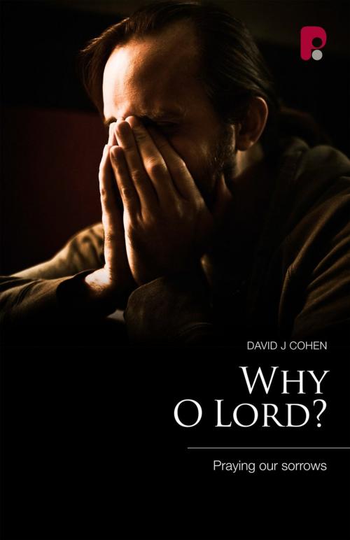 Cover of the book Why O Lord? by David J Cohen, Authentic Publishers
