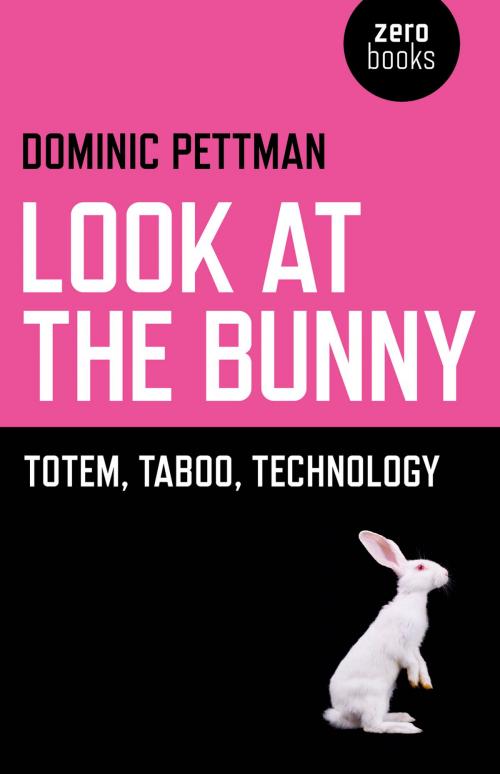 Cover of the book Look at the Bunny by Dominic Pettman, John Hunt Publishing