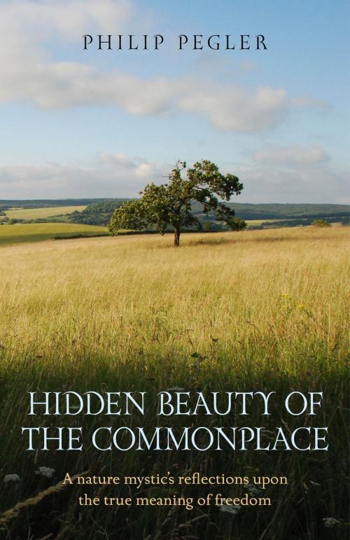Cover of the book Hidden Beauty of the Commonplace by Philip Pegler, John Hunt Publishing