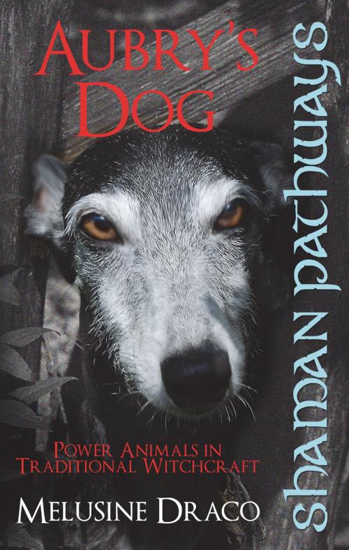 Cover of the book Shaman Pathways - Aubry's Dog: Power Animals In Traditional Witchcraft by Suzanne Ruthven, John Hunt Publishing