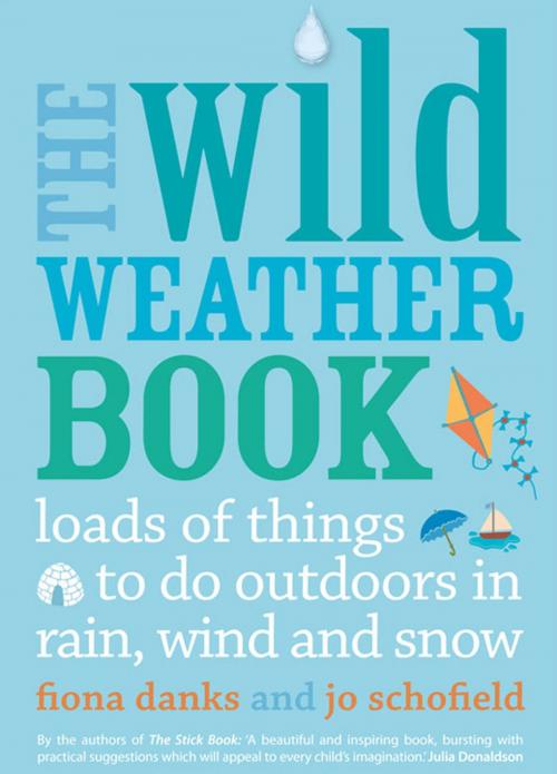 Cover of the book The Wild Weather Book by Fiona Danks, Jo Schofield, Frances Lincoln